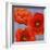 Dance of Poppies II-Luca Villa-Framed Art Print