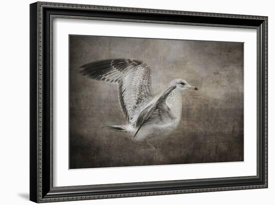 Dance of the Lone Gull-Jai Johnson-Framed Giclee Print