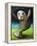 Dance of the Manatee-Leah Saulnier-Framed Premier Image Canvas