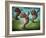 Dance of the Manatees-Leah Saulnier-Framed Giclee Print