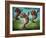 Dance of the Manatees-Leah Saulnier-Framed Giclee Print