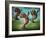 Dance of the Manatees-Leah Saulnier-Framed Giclee Print