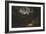 Dance of the Natives of Van Diemen's Land, Moonlight-John Glover-Framed Giclee Print