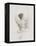 Dance Study I-Ethan Harper-Framed Stretched Canvas