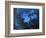 Dance Under Water-kirilstanchev-Framed Art Print