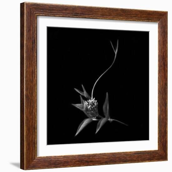 Dance With Me, She Said ...-Yvette Depaepe-Framed Photographic Print