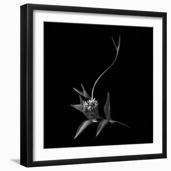 Dance With Me, She Said ...-Yvette Depaepe-Framed Photographic Print