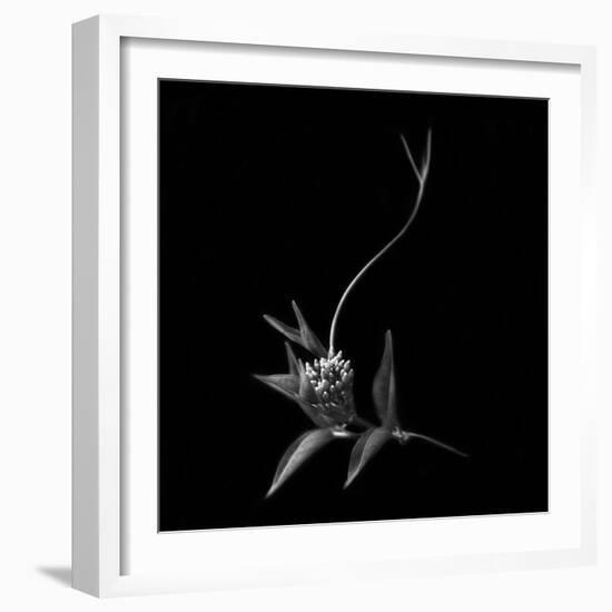 Dance With Me, She Said ...-Yvette Depaepe-Framed Photographic Print