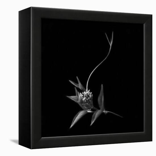 Dance With Me, She Said ...-Yvette Depaepe-Framed Premier Image Canvas