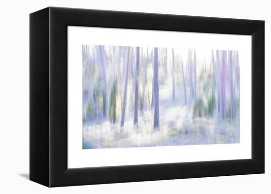 Dance With the Light-Jacob Berghoef-Framed Premier Image Canvas