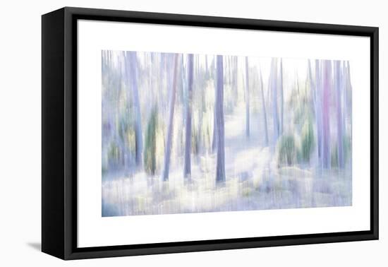 Dance With the Light-Jacob Berghoef-Framed Premier Image Canvas