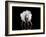 Dance-Natalia Baras-Framed Giclee Print