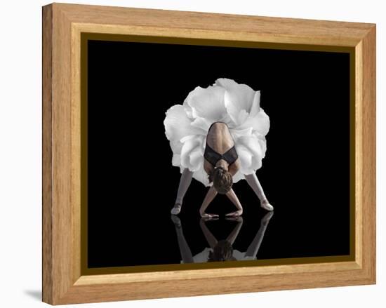 Dance-Natalia Baras-Framed Premier Image Canvas