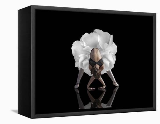 Dance-Natalia Baras-Framed Premier Image Canvas