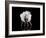 Dance-Natalia Baras-Framed Photographic Print