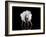 Dance-Natalia Baras-Framed Photographic Print