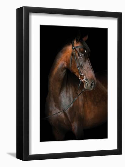 Dancer in the Dark-null-Framed Premium Giclee Print