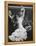 Dancer Maria Albaicin, Dancing in Corral de La Moreria, Rio de Janeiro-Loomis Dean-Framed Premier Image Canvas