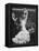 Dancer Maria Albaicin, Dancing in Corral de La Moreria, Rio de Janeiro-Loomis Dean-Framed Premier Image Canvas