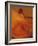 Dancer Performing at La Guelaguetza, Oaxaca, Mexico-Judith Haden-Framed Photographic Print