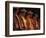 Dancer Performing at La Guelaguetza, Oaxaca, Mexico-Judith Haden-Framed Photographic Print