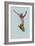 Dancer Watercolor 5-NaxArt-Framed Art Print