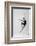 Dancer-Constantin Shestopalov-Framed Photographic Print