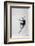 Dancer-Constantin Shestopalov-Framed Photographic Print