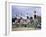 Dancers at the Highland Games, Edinburgh, Lothian, Scotland, United Kingdom-Adina Tovy-Framed Photographic Print