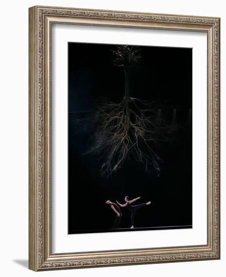 Dancers from the Dutch Dance Theatre Perform During Dress Rehearsal in the Bulgarian Capital Sofia-null-Framed Photographic Print