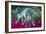 Dancers Green and Rose-John Asaro-Framed Giclee Print