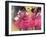 Dancers in Pink, Between the Scenes-Edgar Degas-Framed Premium Giclee Print