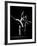 Dancers Margot Fonteyn and Rudolf Nureyev, Royal Ballet Company Production of La Bayadere-Gjon Mili-Framed Premium Photographic Print