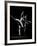 Dancers Margot Fonteyn and Rudolf Nureyev, Royal Ballet Company Production of La Bayadere-Gjon Mili-Framed Premium Photographic Print