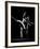 Dancers Margot Fonteyn and Rudolf Nureyev, Royal Ballet Company Production of La Bayadere-Gjon Mili-Framed Premium Photographic Print