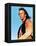 Dances with Wolves 1990 Directed by Kevin Costner Kevin Costner-null-Framed Stretched Canvas