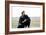 Dances with Wolves-null-Framed Photo