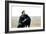 Dances with Wolves-null-Framed Photo