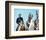 Dances with Wolves-null-Framed Photo