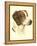 Danchin Brittany Spaniel-Danchin-Framed Stretched Canvas