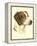 Danchin Brittany Spaniel-Danchin-Framed Stretched Canvas