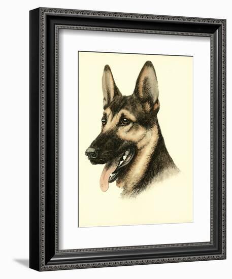 Danchin German Shepard-Danchin-Framed Premium Giclee Print