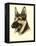 Danchin German Shepard-Danchin-Framed Stretched Canvas