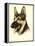 Danchin German Shepard-Danchin-Framed Stretched Canvas