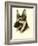 Danchin German Shepard-Danchin-Framed Art Print