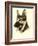 Danchin German Shepard-Danchin-Framed Art Print