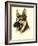 Danchin German Shepard-Danchin-Framed Art Print