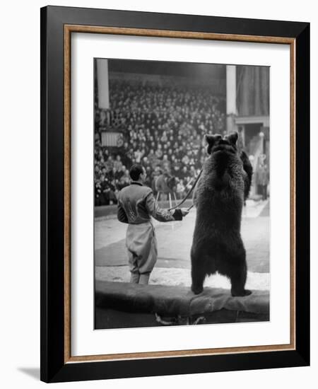 Dancing Bear at the Circus-Thomas D^ Mcavoy-Framed Photographic Print