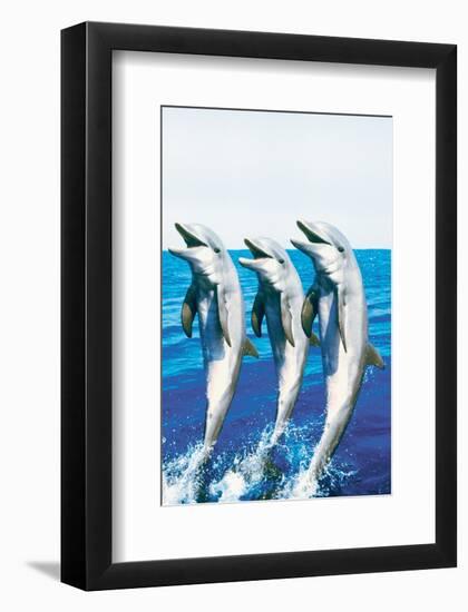 Dancing Dolphins-null-Framed Premium Giclee Print