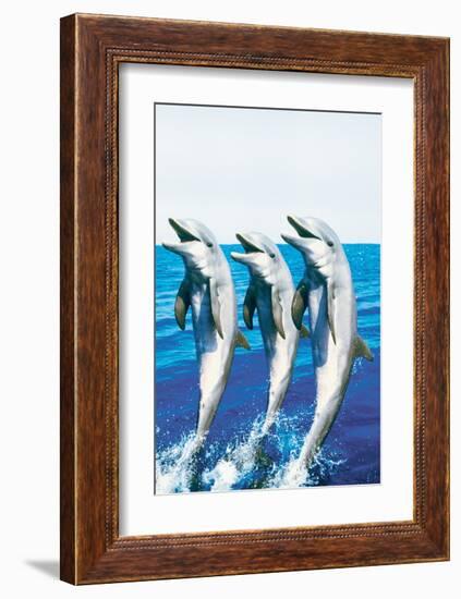 Dancing Dolphins-null-Framed Art Print